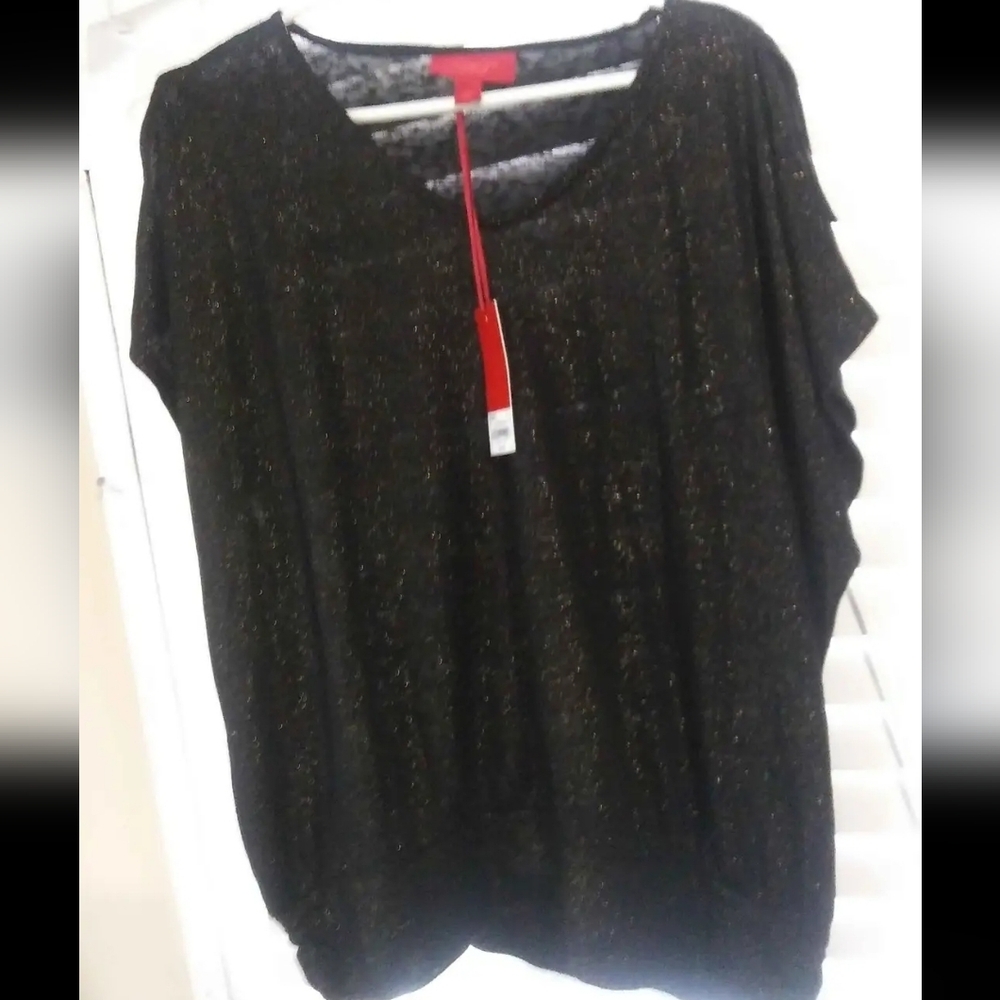 Jenifer Lopeze Bronze Shimmer Top